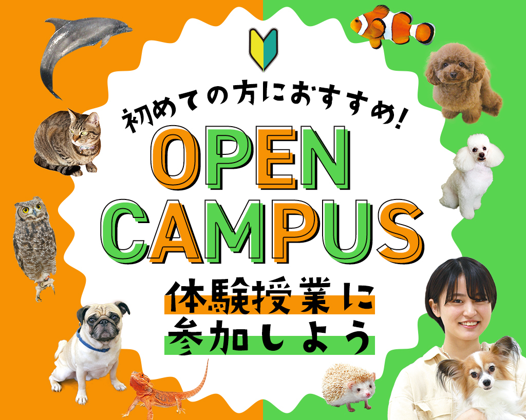 大阪ＥＣＯ動物海洋専門学校